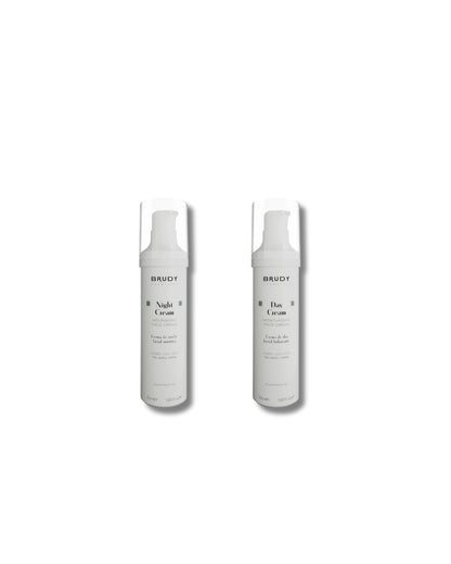 Tratamiento Antiox y Regenerador (Piel Mixta)